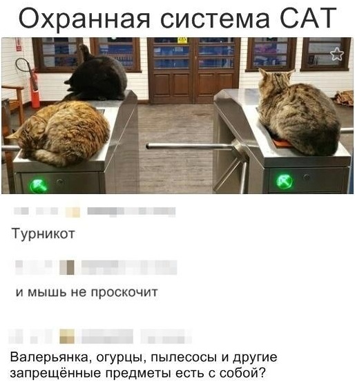 Фото, соц-сети и картинки с надписями