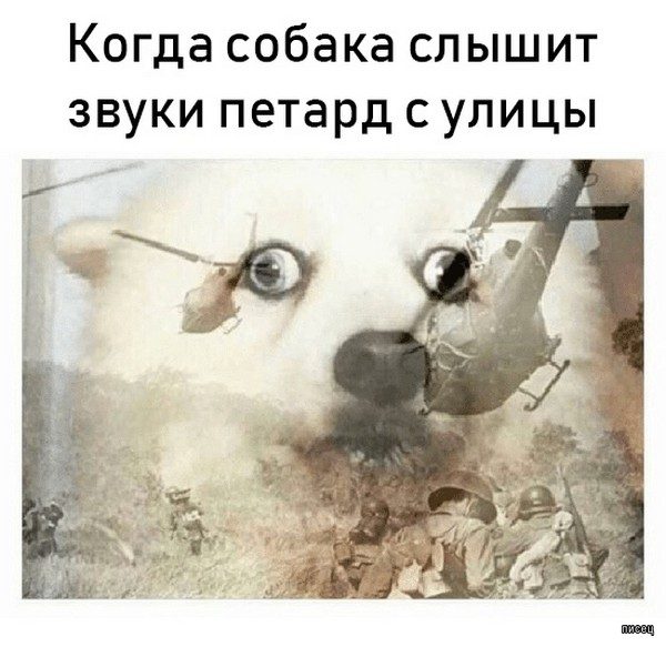 Веселые картинки когда...