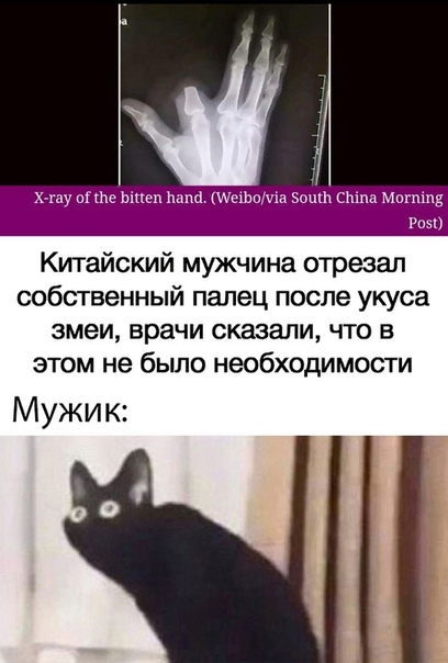 Чуток картинок 02.11.19
