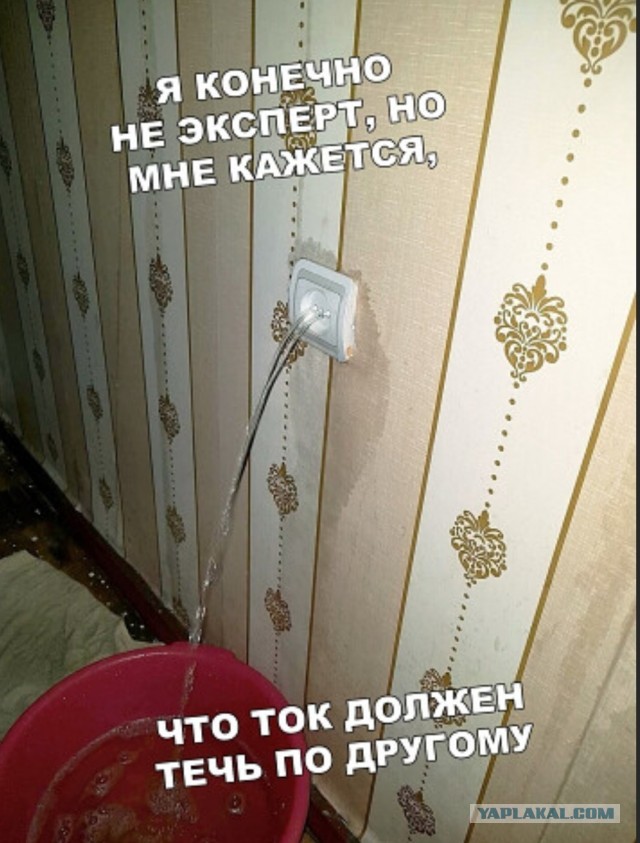 Бредзона 23.07.2020