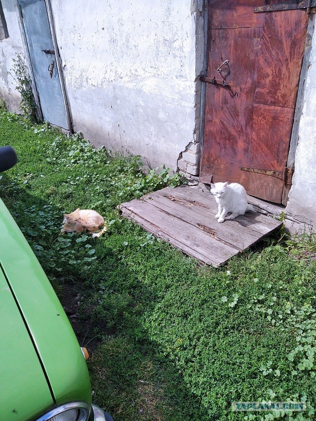 Закрытие сезона