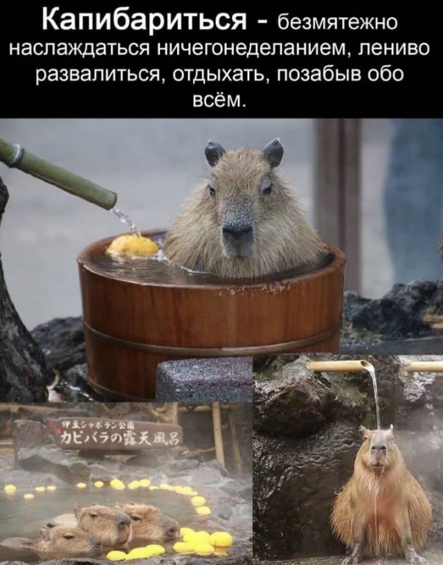 Картинки и мемы для настроения 23.02.21