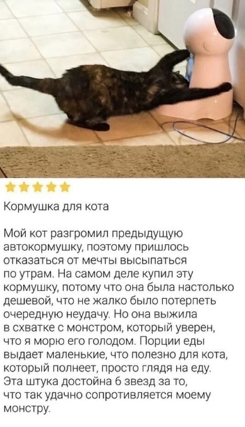 Юмор в картинках 22.08.21