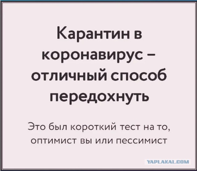 В магазин с пропуском и паспортом... И немного о зловещей «теории заговора» в финале