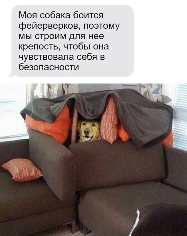 Картинки и мемы - "Жить, как говорится, хорошо..."