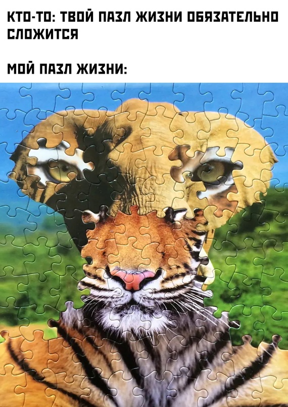 Картинки и мемы. Выходные близко...