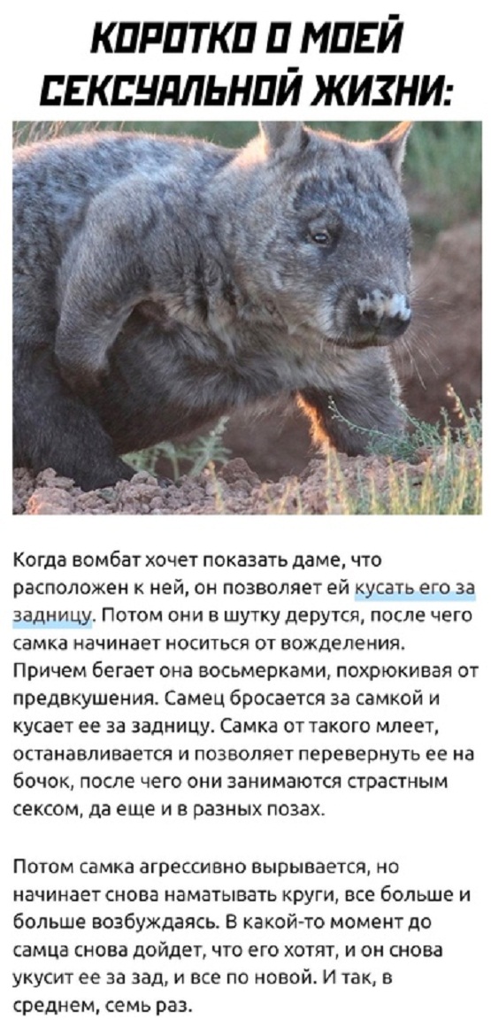 Немного картинок для настроения - 135