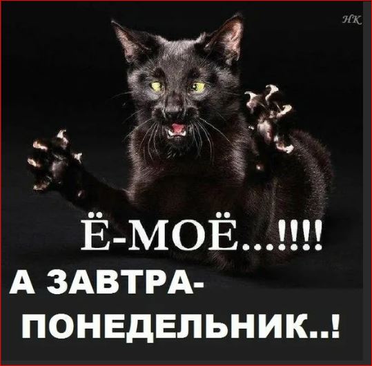 Победная поступь идиотизма по планете – том 17