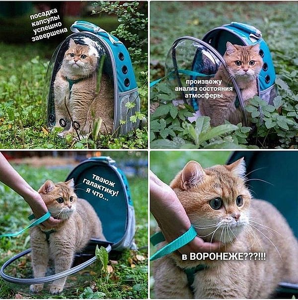 Юморески на вечер