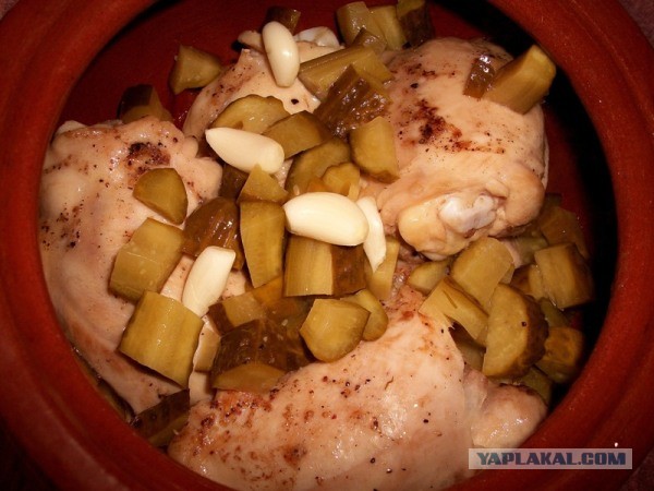 «Ишь грудь выпячила, бёдрами виляет, - Курица!», совместный пост  - Frau Marta и Mitsv