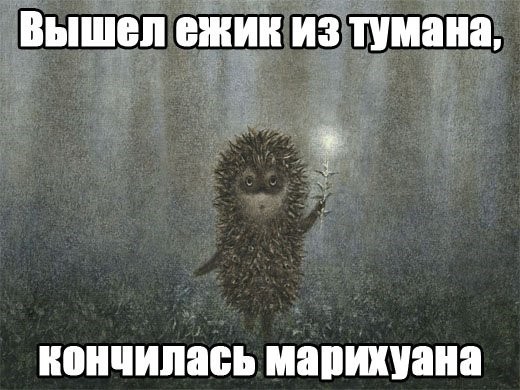 Картинок подвезли
