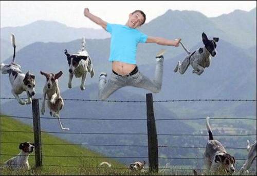 Фотожаба: Обработайте фото