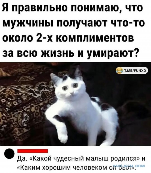 25 картинок от начальника автопарка