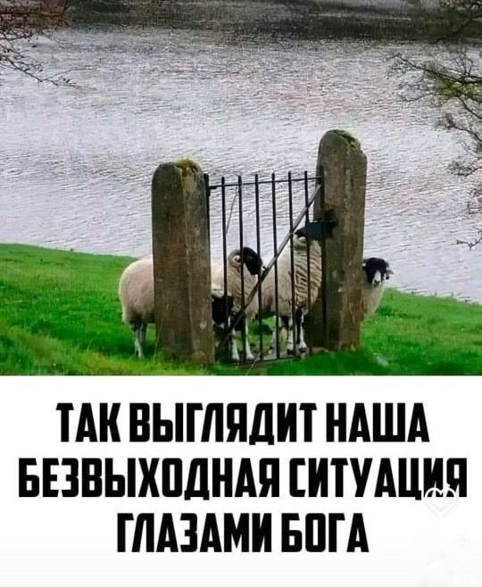 Прикольные и просто красивые картинки 02.05.2025