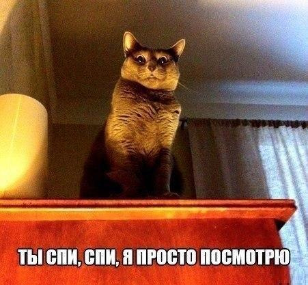 Когда ночной тыгыдык вышел на новый уровень