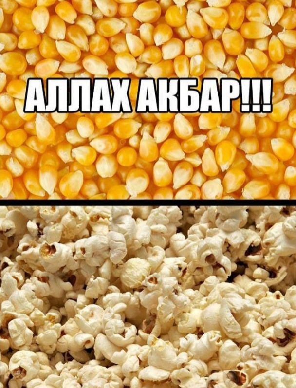 Без морали