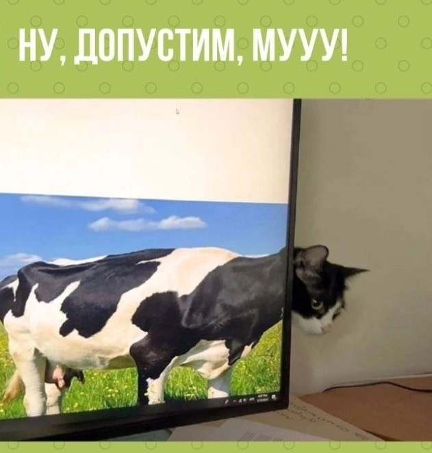 К котовторнику: подборка картинок-баянов с котиками и про котиков. Выпуск 19.