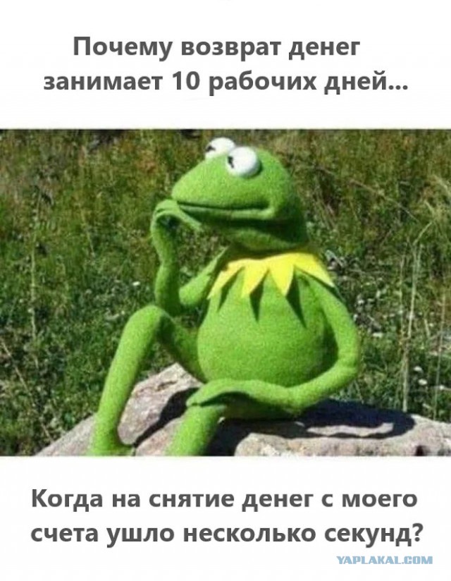 Картинки для деградации 38 (разной степени свежести)