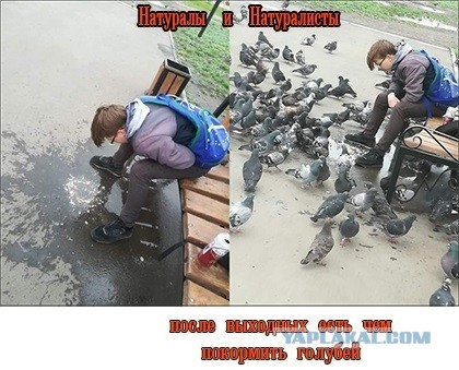 На фото показали самые нелепые способы подачи блюд в ресторанах