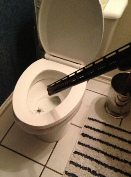 Подборка фотографий из серии " За секунду до.."