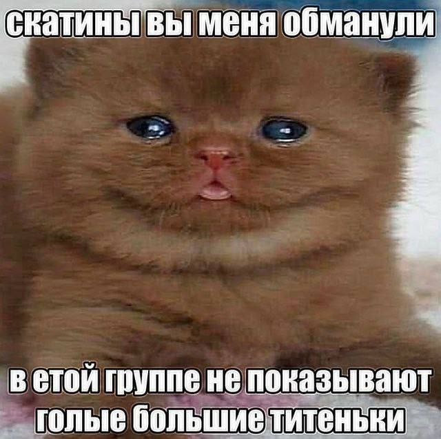 Забавные и не очень скромные картинки - 26