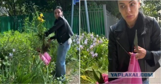 Четыре года труда: мужчина застукал девушку, которая выкопала цветы с клумбы
