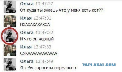 Смешные комментарии из соц. сетей