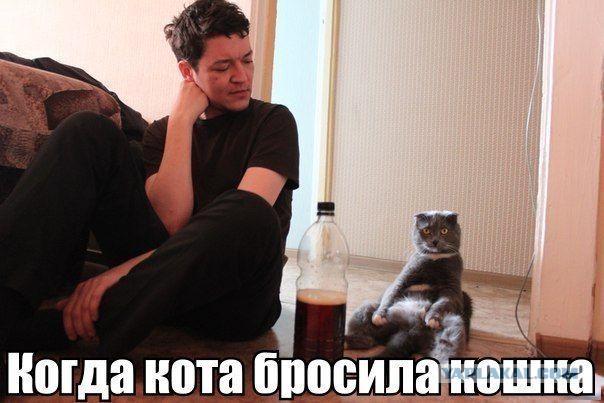 Подборка позитивных картинок на выходные