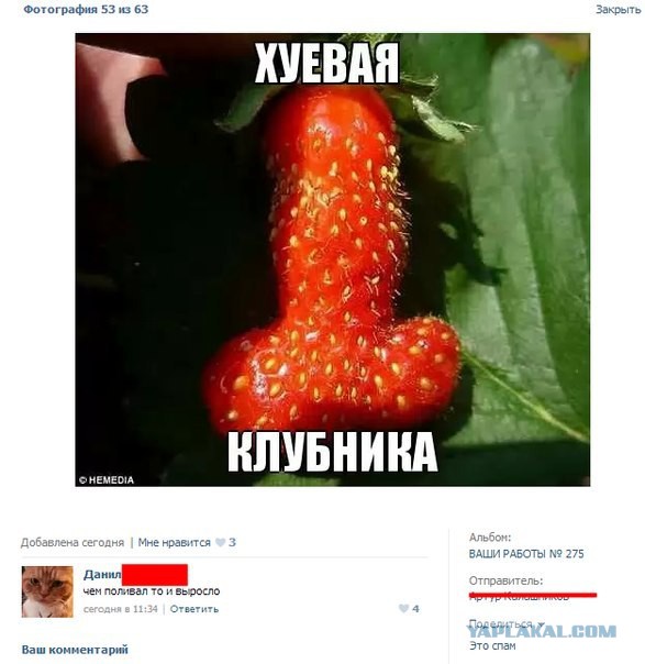 Смешные комментарии из социальных сетей 26.04.14