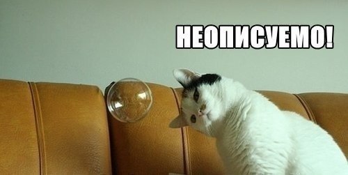 Смешные картинки