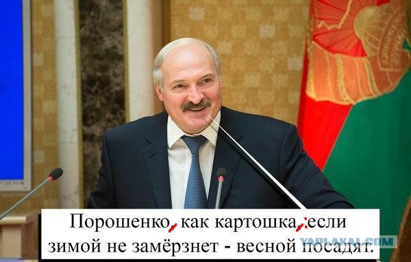 Немного Лукашенко на вечер