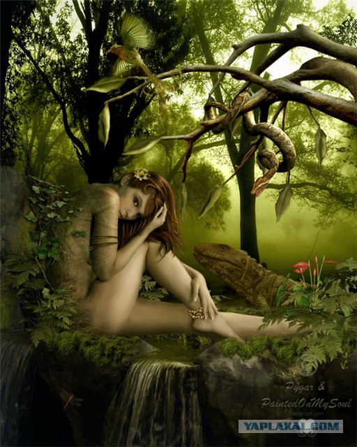 Плюсомет со шпалометом