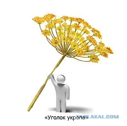 Зеленский совсем берега попутал