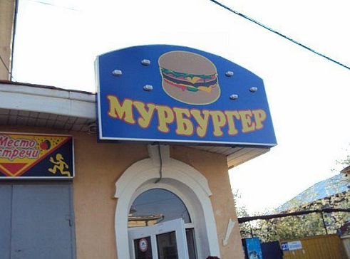 Свежие картинки из сети
