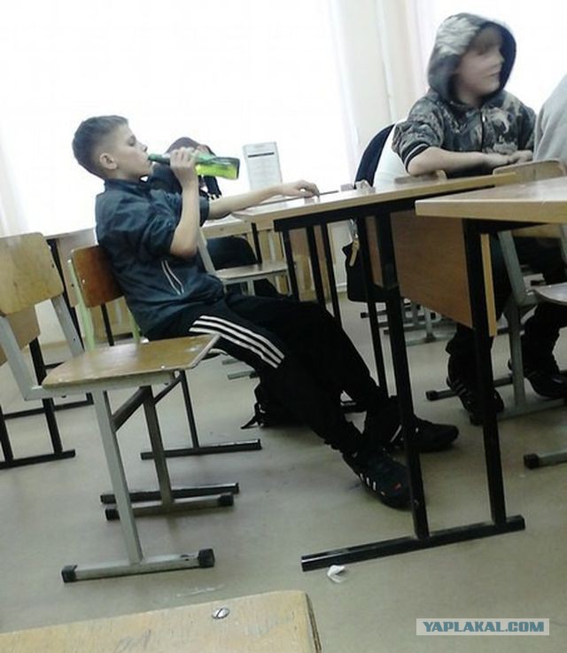 Очередные шедевры из соцсетей