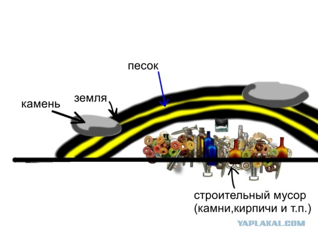 Мой цветник(с 2009 по настоящее время)