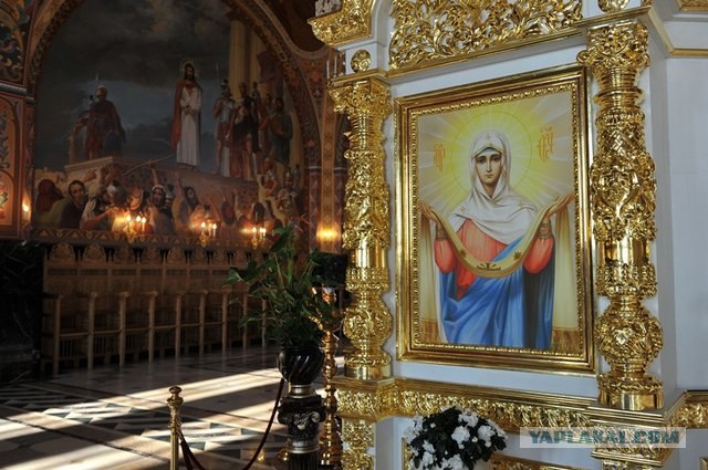 День будущего паралимпийца