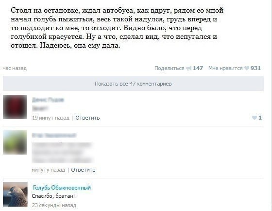 Смешные комментарии из социальных сетей