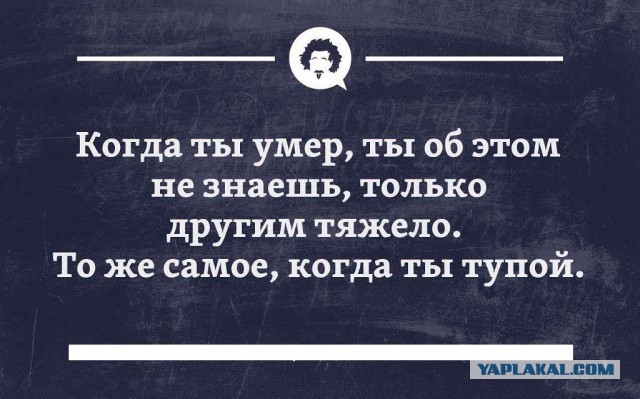 Подборка веселых картинок