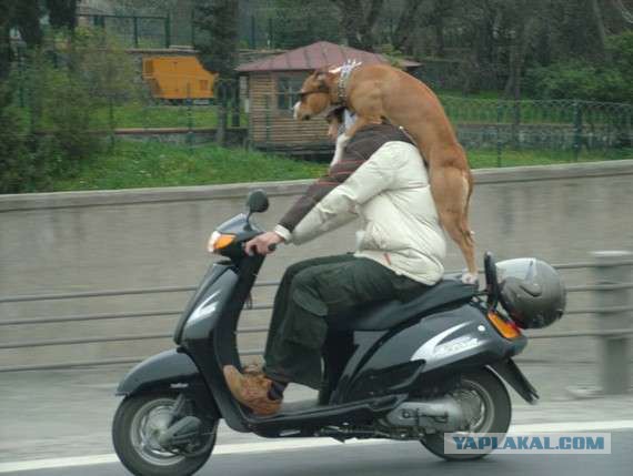 Автомото...
