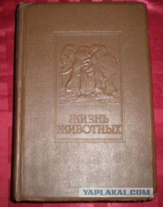 30 самых любимых детских книг