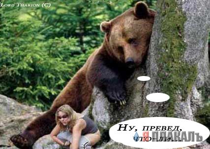 Превед медвед!