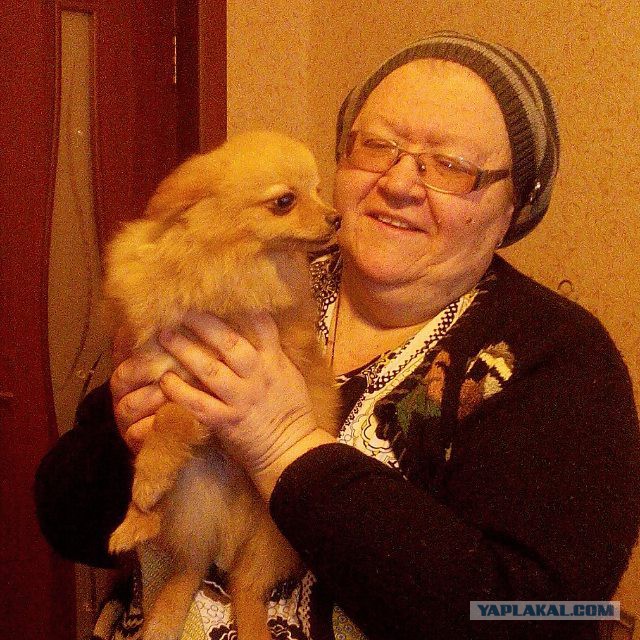 Как нашли собаку