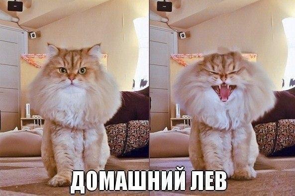 Под вечер, вторника.