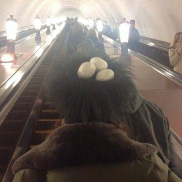 Подборка фотоприколов