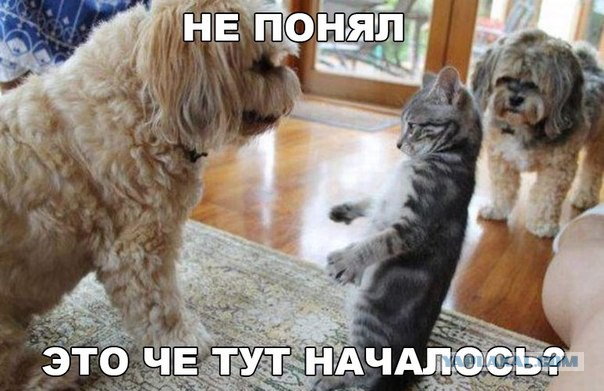 Картинки с надписями