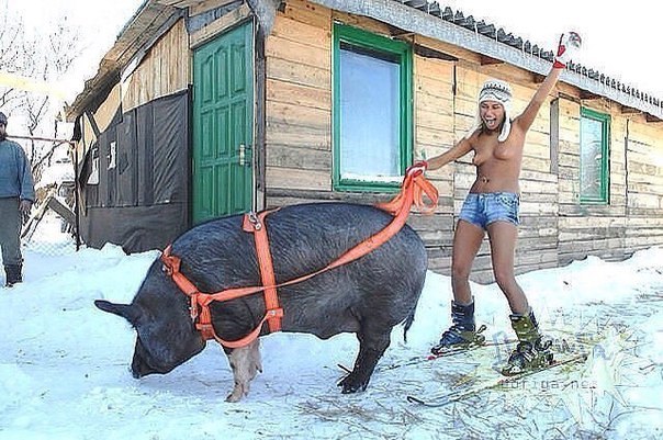 Ужасы и приколы из соцсетей 18+