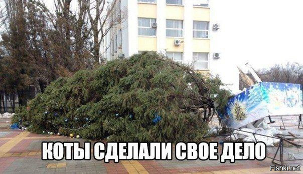 Подборка интересных и веселых картинок