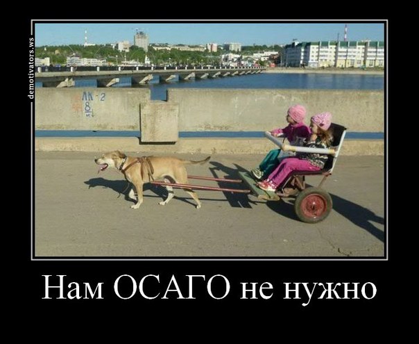 Часть выплат по ОСАГО предложили перенести на автовладельцев