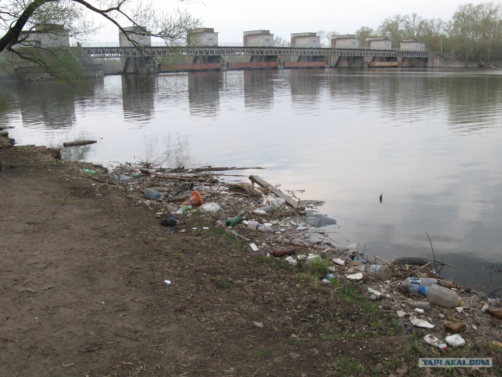Насколько грязно. Загрязнённая Москва река. Москва река грязная вода. Загрязнение реки Москва-река. Загрязнение Москвы реки.
